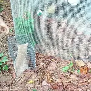 Meet your Posher, Jess